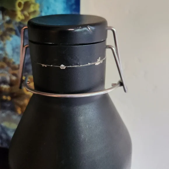 B2GO Patagonia 64 oz MIIR Growler in Black - Picture 10 of 11